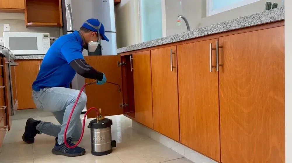 Técnico de Fumicin aplicando en la alacena de la cocina de una casa en San Luis Potosí