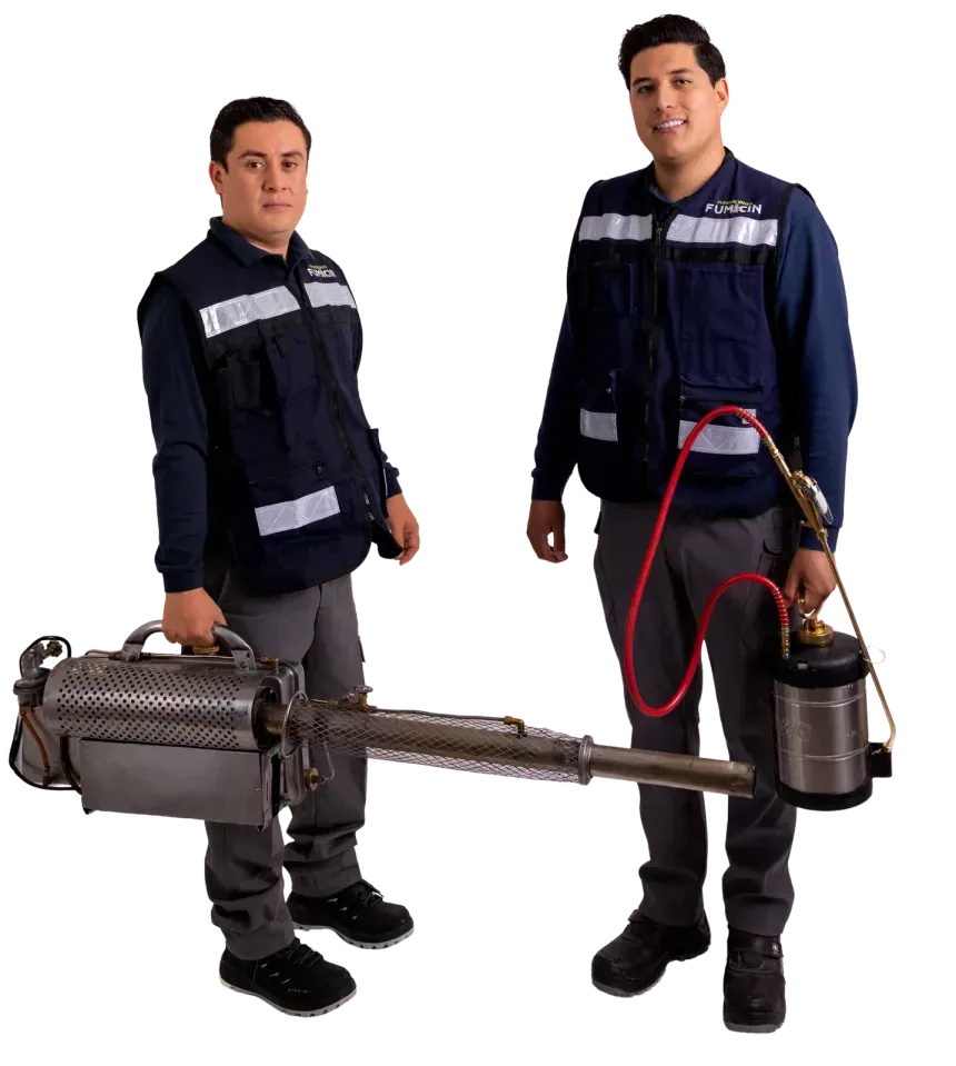 Dos técnicos certificados de Fumicin uniformados, con termonebulizadora y aspersor de compresión, listos para un servicio de fumigación