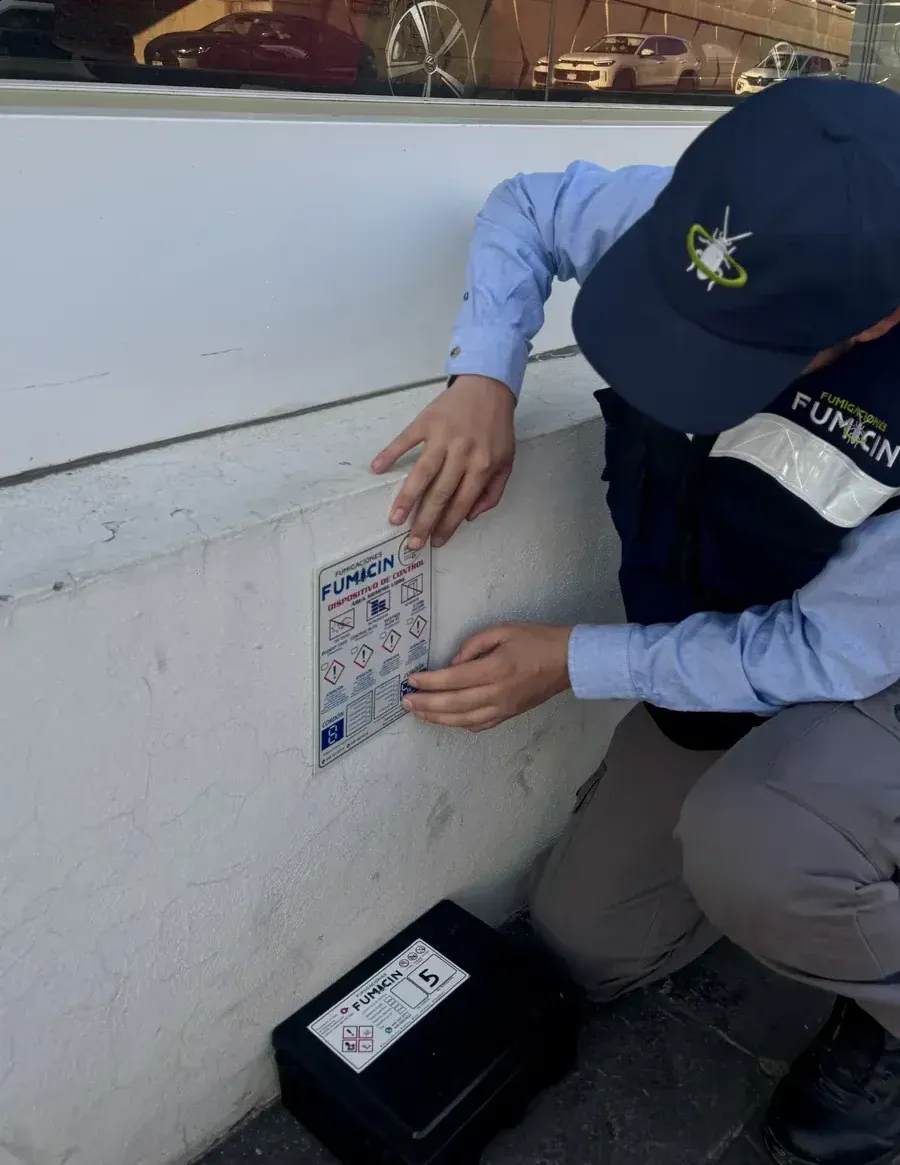 Técnico de Fumicin instalando y etiquetando una estación de control de roedores en un negocio de San Luis Potosí