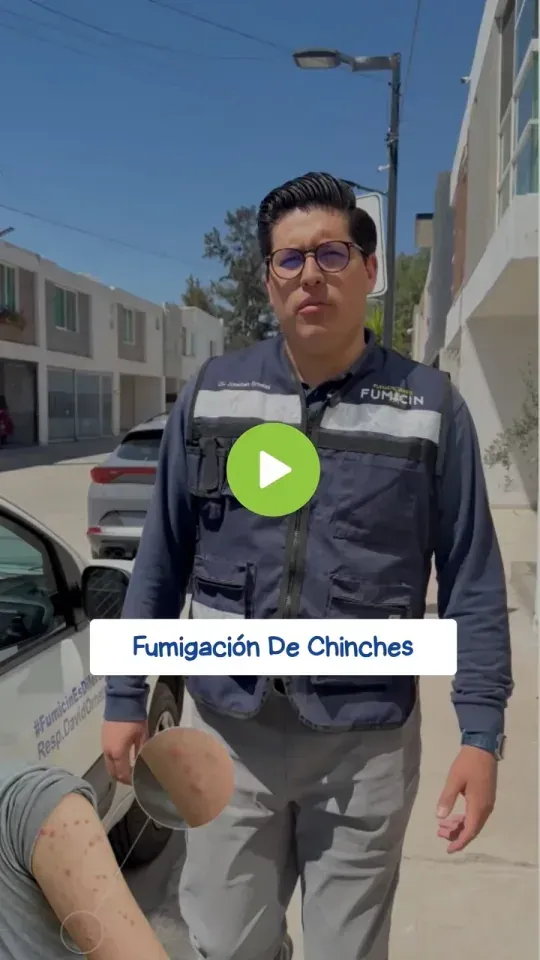 Caso real de chinches de cama atendido por Fumicin