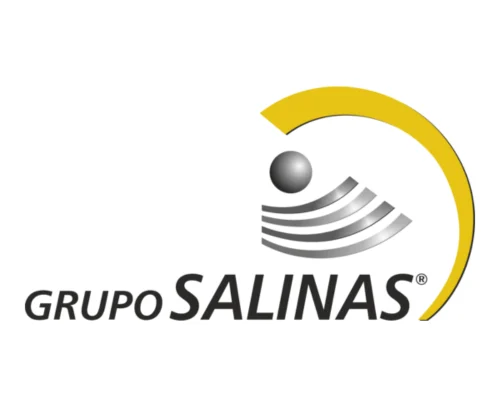 clientes-fumicin-grupo-salinas-2026