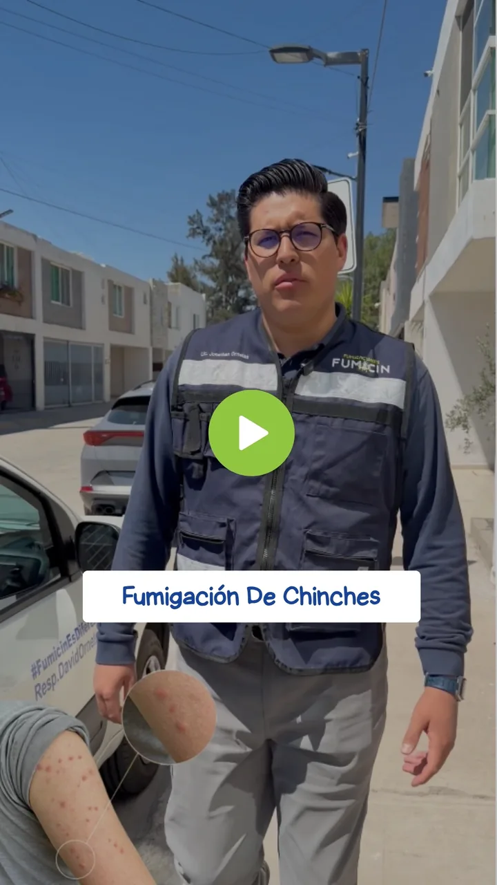 Técnico de Fumicin atendiendo un caso de chinches de cama en San Luis Potosí